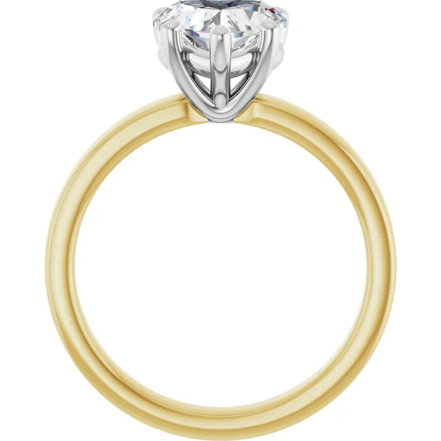 Heart Shape Solitaire Engagement Ring in white gold prong head & yellow gold band side profile