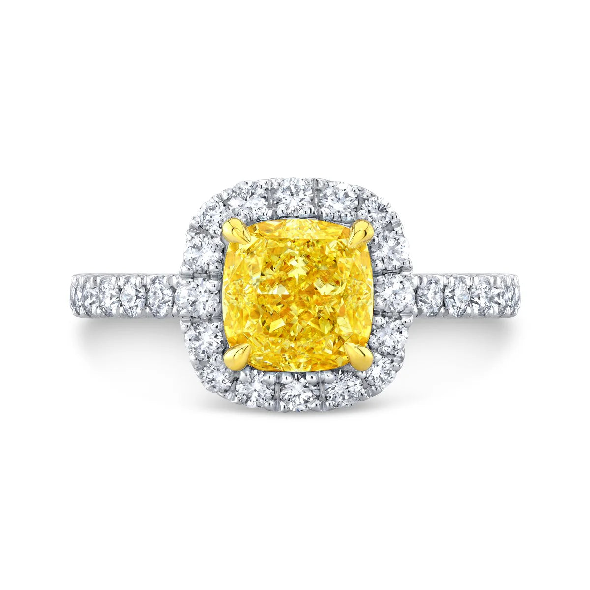 Yellow cushion cut halo diamond ring in white gold with yellow gold prongs