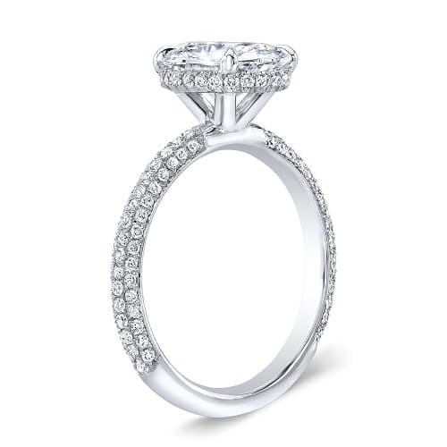 Hidden Halo Oval Engagement Ring Profile View