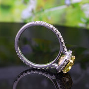 2.90 Ct. Halo Canary Fancy Intense Yellow Cushion Diamond Ring VS1 GIA Certified