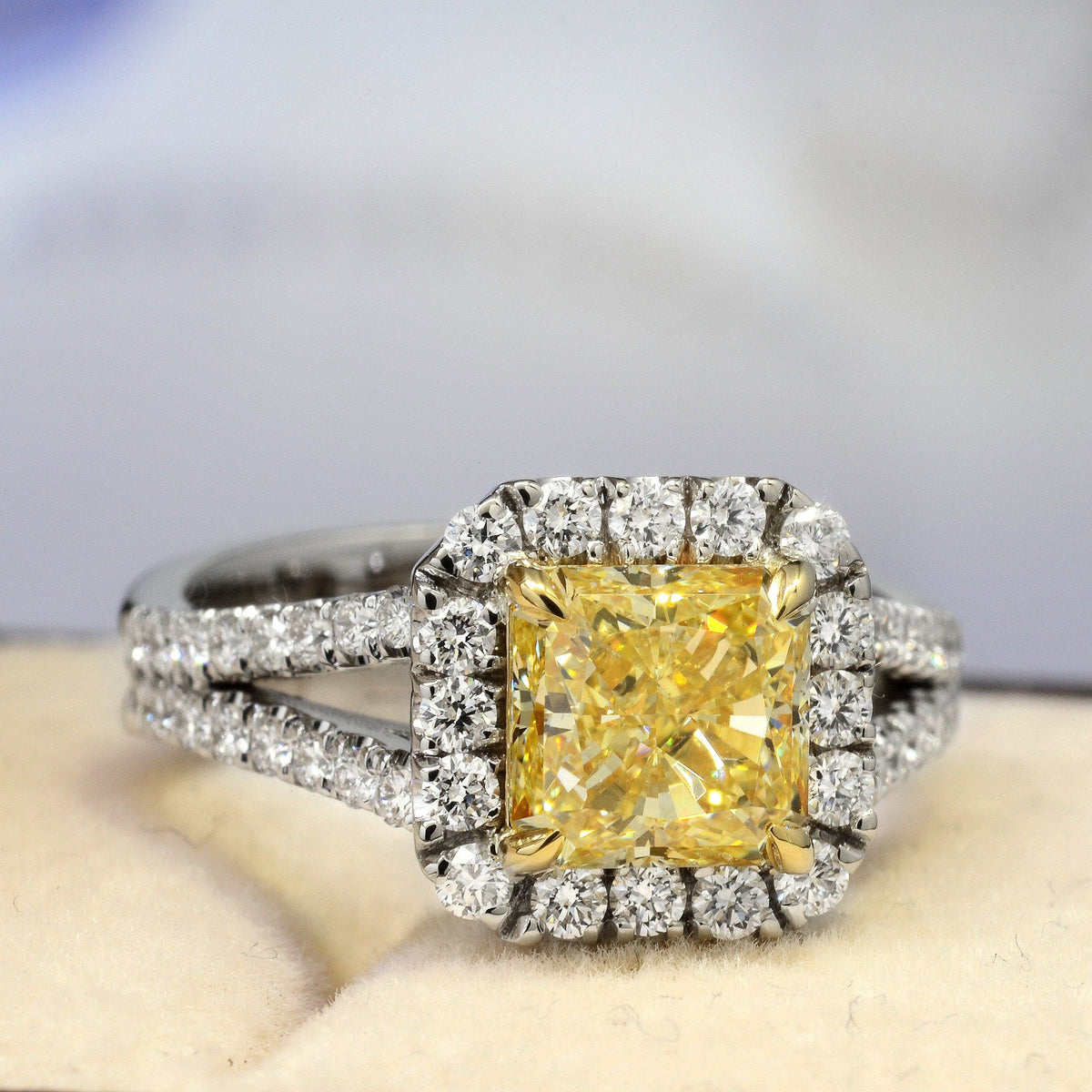 Fancy intense yellow halo radiant cut diamond ring