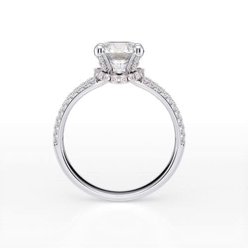Hidden halo split shank diamond ring