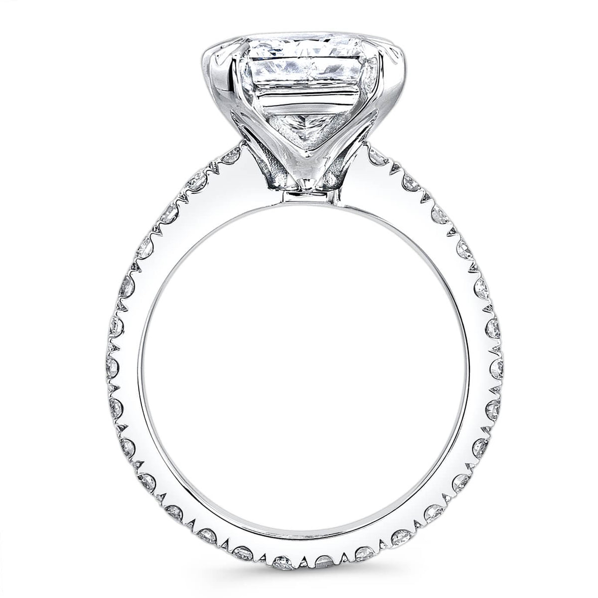 Radiant cut engagement ring eternity side profile