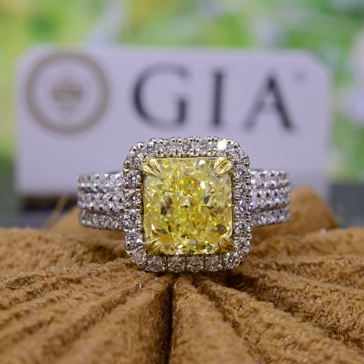 Yellow cushion split shank halo ring