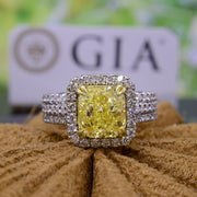 Yellow Cushion Split Shank Halo Ring