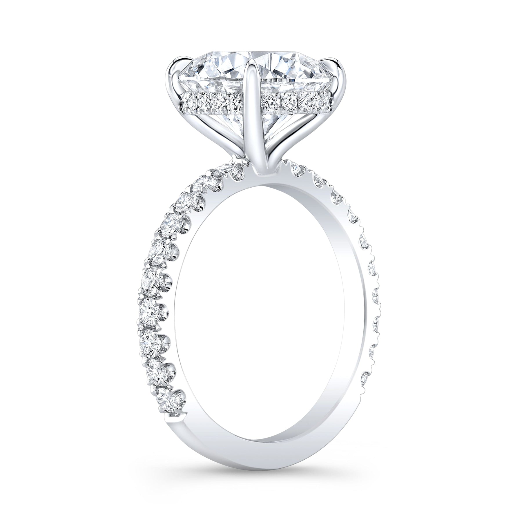 Thin Pave Shank with Hidden Halo